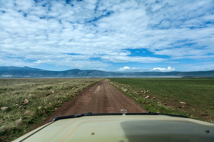 TZA ARU Ngorongoro 2016DEC26 Crater 072